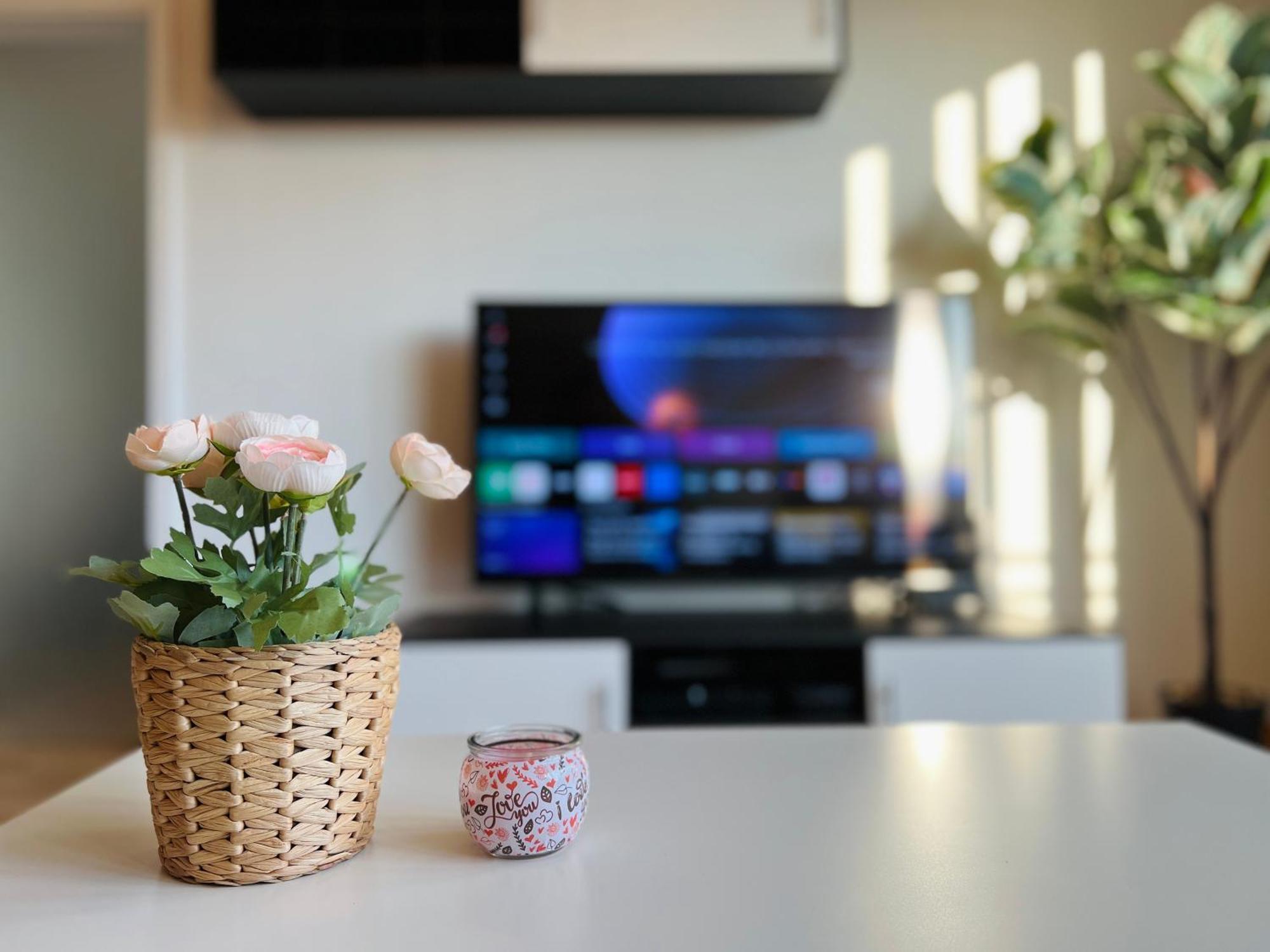 Stariva - Terrasse Ueber - Kaffeemachine - Netflix - Playstation - Brettspiele * Dresden